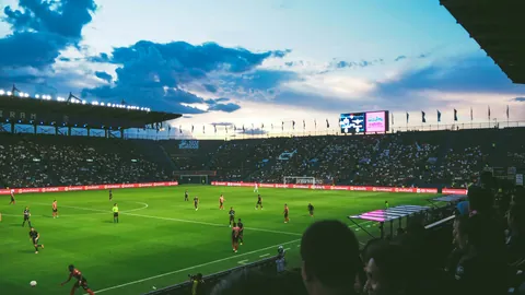 咪咕与WTT再签四年合约，全程直播赛事至2028年